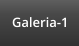 Galeria-1